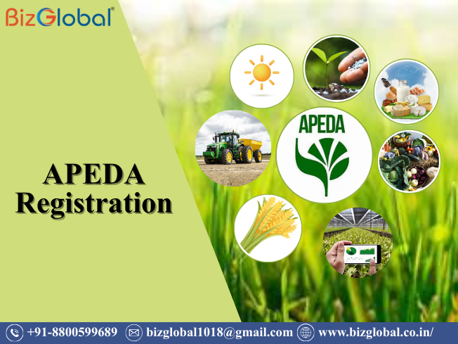 APEDA Registration