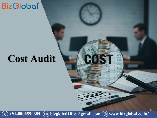 Cost Audit