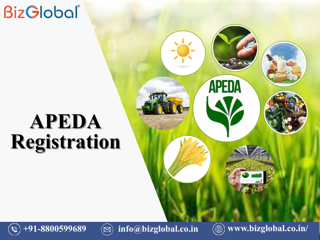 APEDA Registration