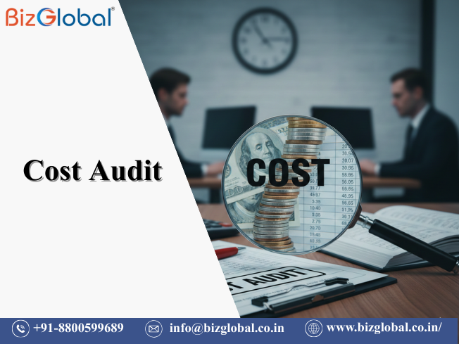 Cost Audit